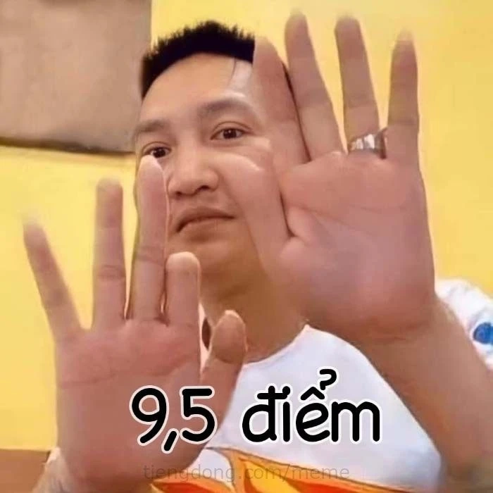 Meme thẻ bài Yugioh Việt Nam, nơi sự sáng tạo và những chiến thuật chiến đấu gặp gỡ