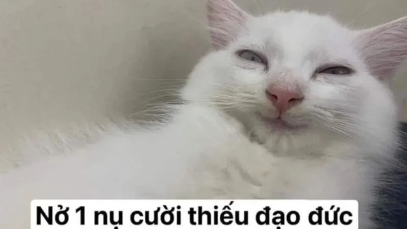 Meme này mang lại sự đồng cảm và cũng không thiếu phần thú vị!