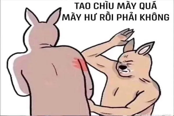 Meme vui buồn thể hiện cảm xúc một cách thật đáng yêu!