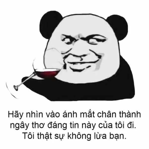 Meme mèo cười cute, dễ thương và vui nhộn.