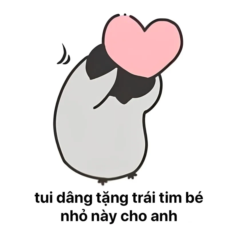 Meme mèo tặng quà, hình ảnh ngộ nghĩnh và đáng yêu.