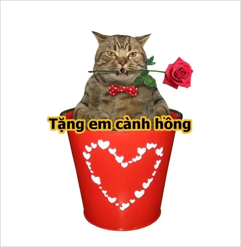 Meme tặng tim, món quà yêu thương và ngọt ngào.