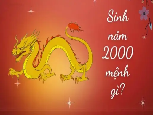 Sinh năm 2000 mệnh gì - Khám phá tử vi Canh Thìn