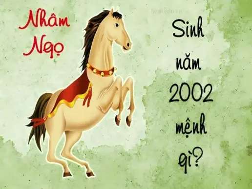 2002 mệnh gì? Xem tử vi trọn đời cho người sinh năm 2002