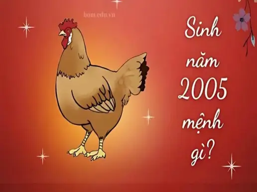 2005 mệnh gì? Tính cách và sự nghiệp người sinh năm 2005