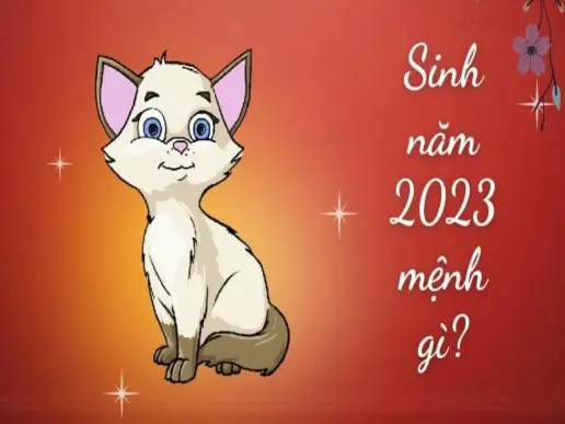 2023 mệnh gì? Tìm hiểu bản mệnh và các yếu tố phong thủy