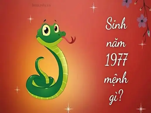 1977 mệnh gì, tuổi gì, hợp màu sắc phong thủy nào?