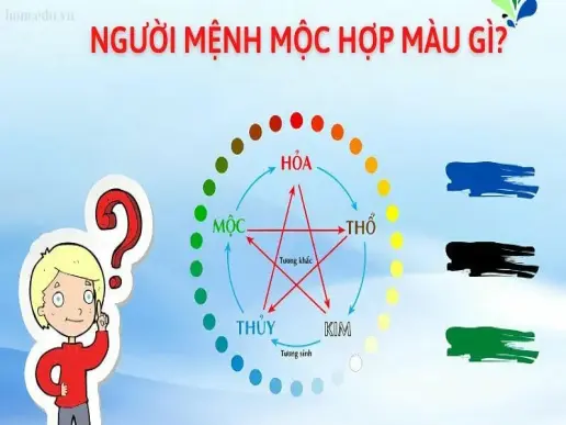 Khám phá mệnh mộc hợp màu gì để tăng vận may trong cuộc sống