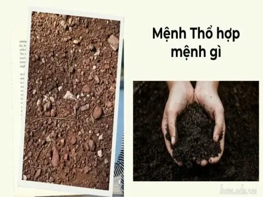 Mệnh Thổ hợp mệnh gì và khắc mệnh gì trong phong thủy?