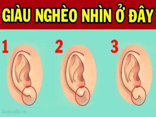 Giải mã nhân tướng học tai - Tai tiết lộ tính cách ra sao?