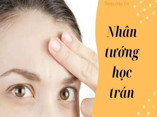 Ý nghĩa của tướng trán trong nhân tướng học - Bạn đã biết?