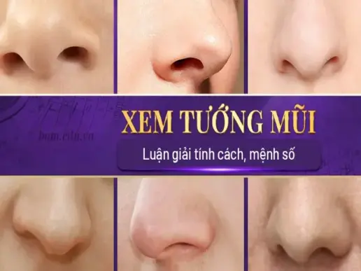 Xem tướng qua dáng mũi - Dáng mũi nào mang lại tài lộc?