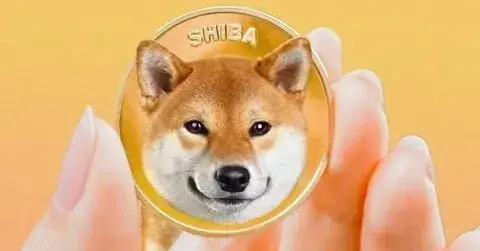 Doge meme trào lưu hài hước gây sốt trên mạng xã hội