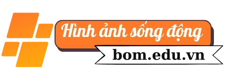 logo website Bom.edu.vn