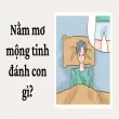Nằm mơ mộng tinh đánh con gì để nhanh trúng lớn