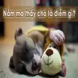 Nằm mơ thấy chó là điềm gì? May mắn hay cảnh báo?