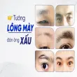 Tướng lông mày xấu nói lên điều gì trong nhân tướng học