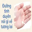 Đường tình duyên nói gì về tương lai hôn nhân của bạn?