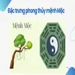 Trải nghiệm và đánh giá phong thủy cho người mệnh Mộc chi tiết