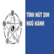 Chọn sim phong thủy hợp tuổi- Cách tôi đổi vận nhờ số điện thoại