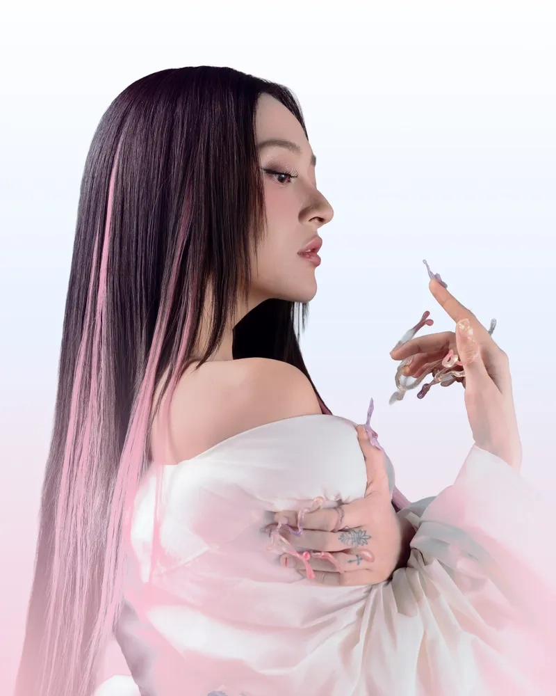 Cảm nhận sâu sắc với ca khúc từng là của nhau Bảo Anh