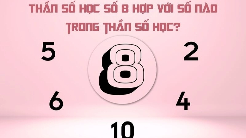 Con số chủ đạo 8 hợp với số nào?