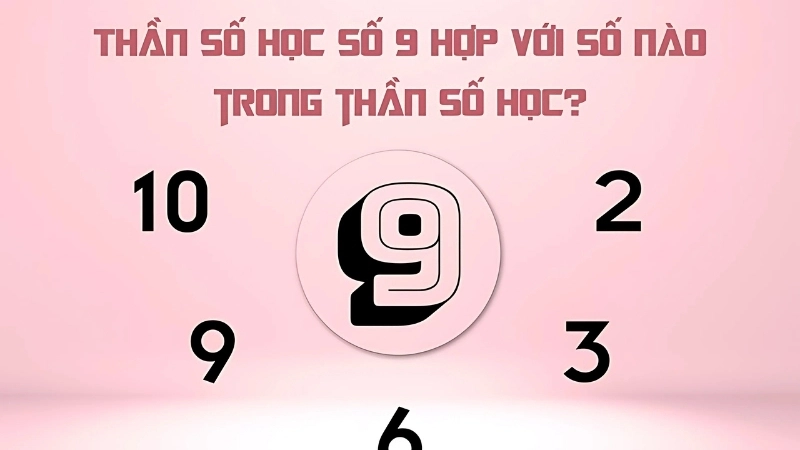 Số chủ đạo 9 hợp với số nào?  