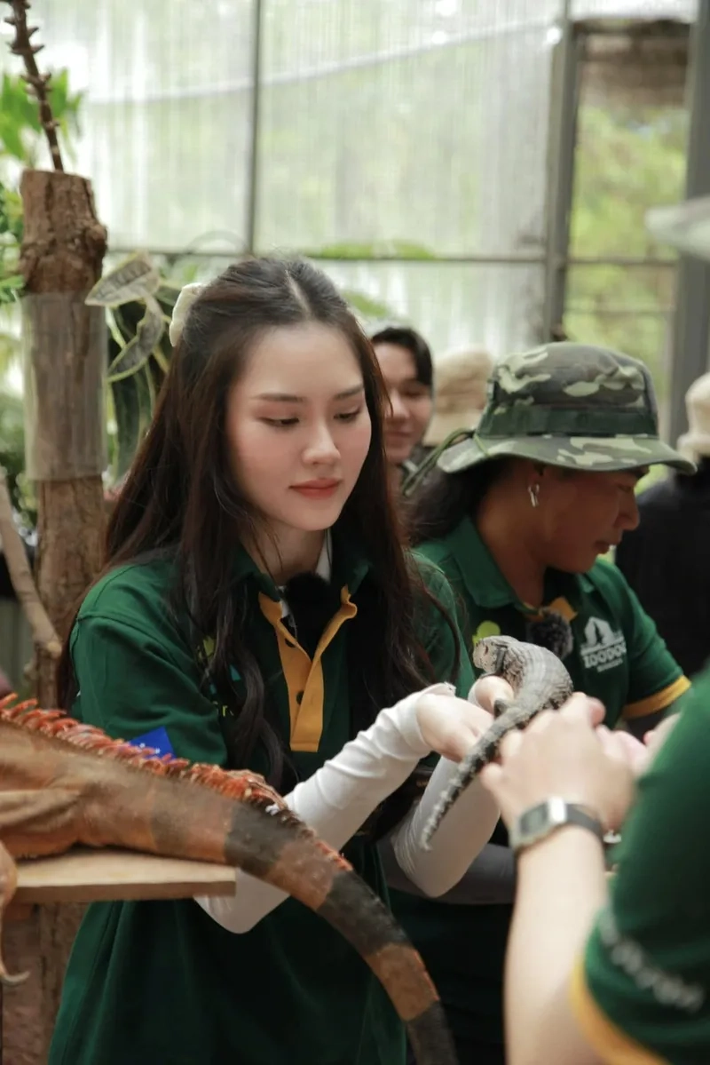 Xem ngay profile của huỳnh nguyễn mai phương chi tiết và đầy đủ nhất