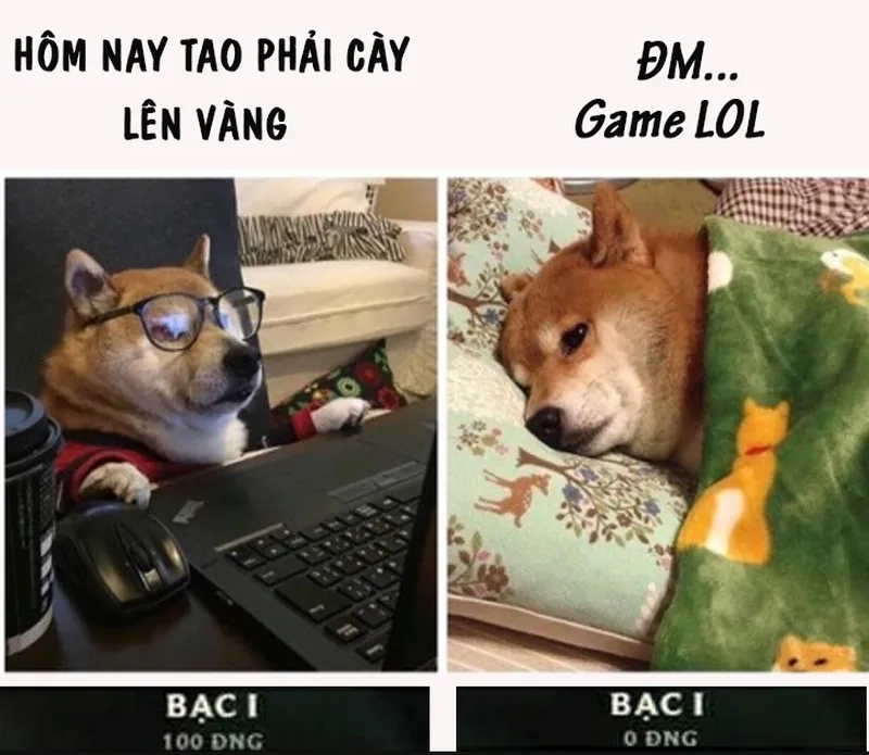 Trò chuyện vui nhộn với meme Liên Quân siêu chất
