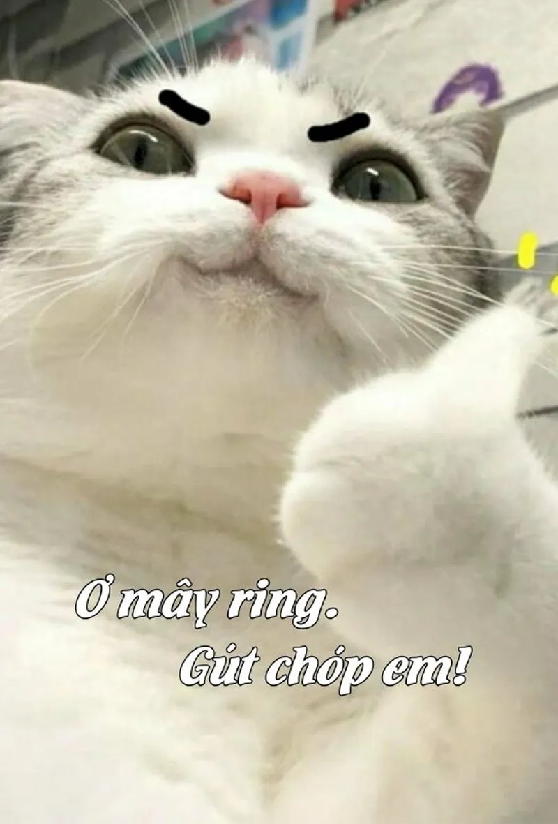 Giải trí cực đỉnh cùng các khoảnh khắc meme ơ mây zing gút chóp hài hước