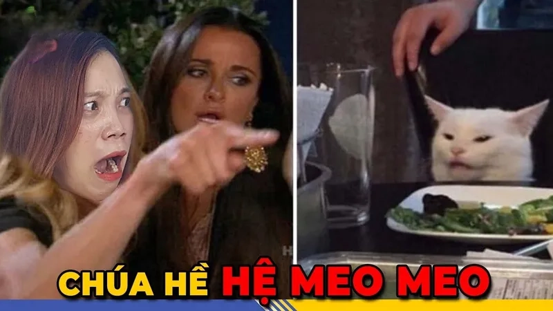 Cuộc khẩu chiến hài hước với meme woman yelling at a cat