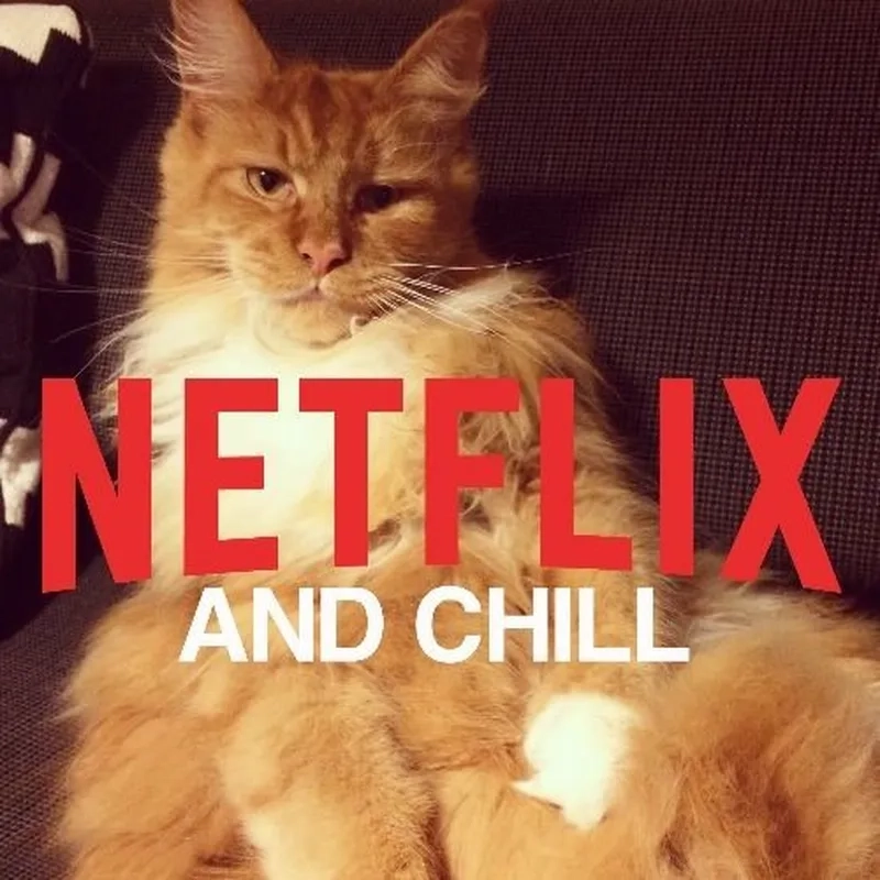Thư giãn cuối tuần với meme Netflix and chill vui nhộn