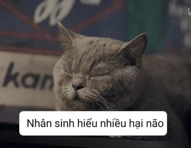 Tư duy sâu sắc cùng meme về nhân sinh quan kích thích trí tuệ