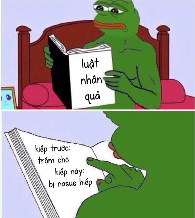 Hiểu về nhân quả qua những pha hài hước trong meme về nhân quả