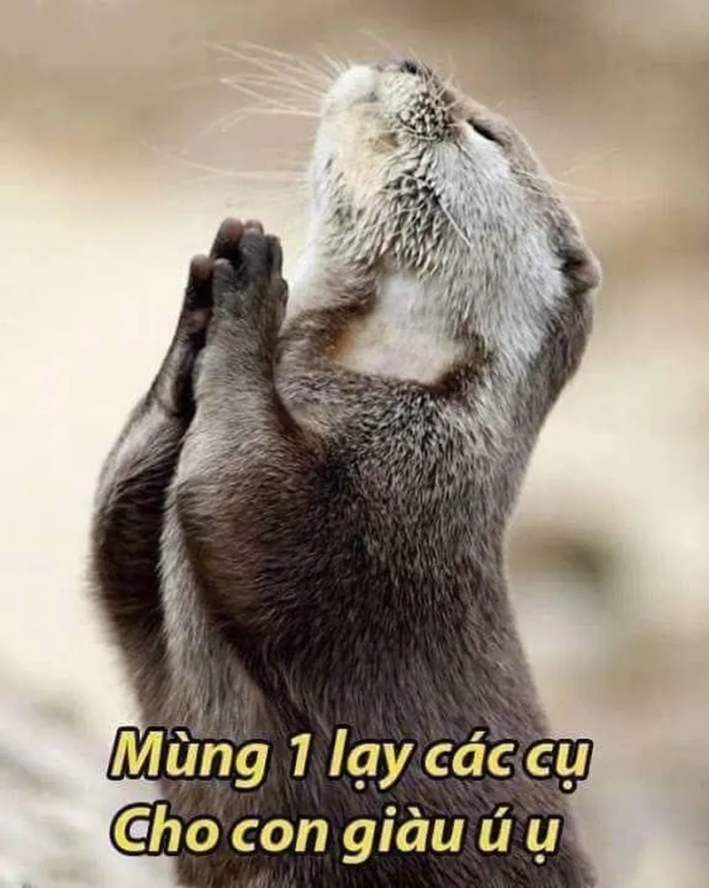 Mùng 1 thêm phần rộn ràng với meme mùng 1 siêu dễ thương