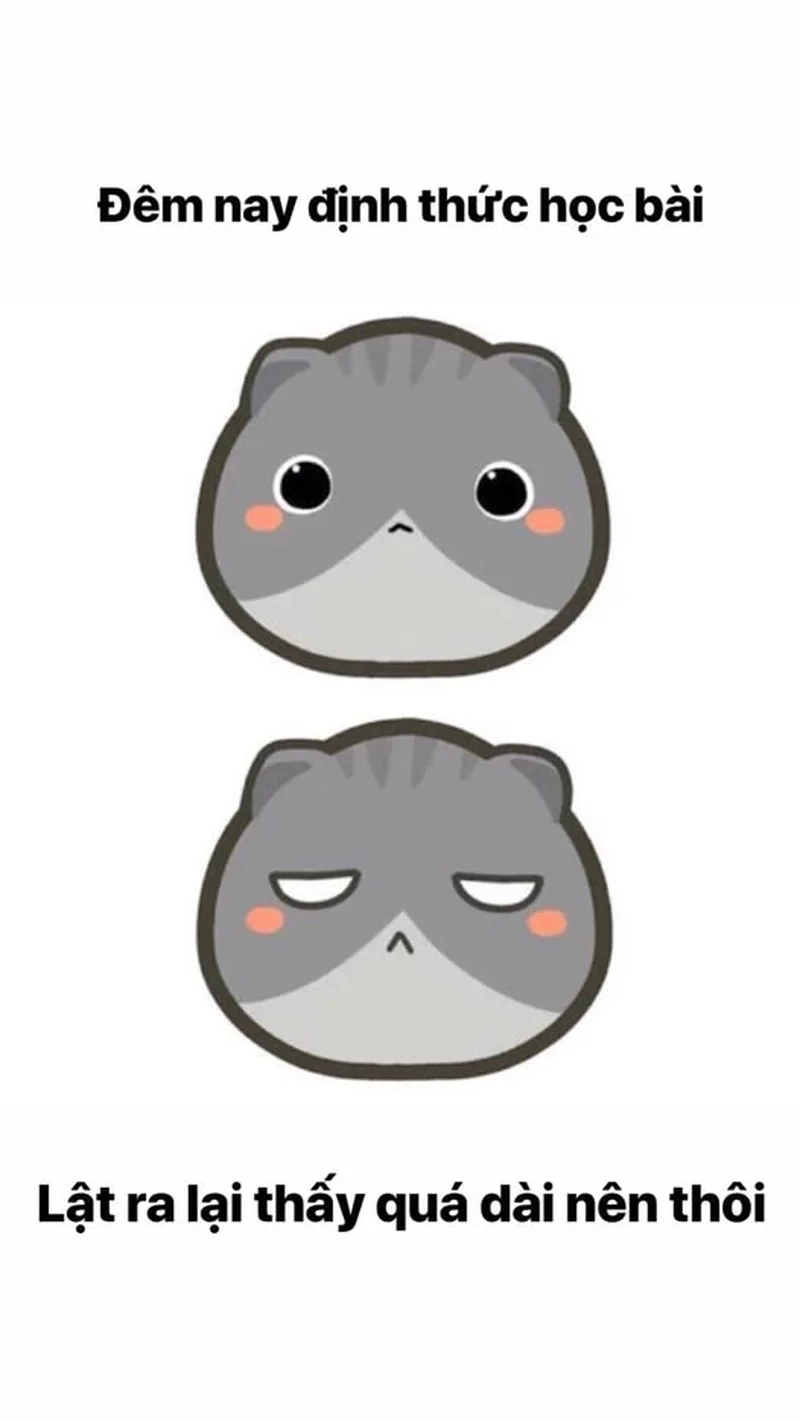 Đừng quên giải trí cùng meme lười học cho các bạn học sinh sinh viên