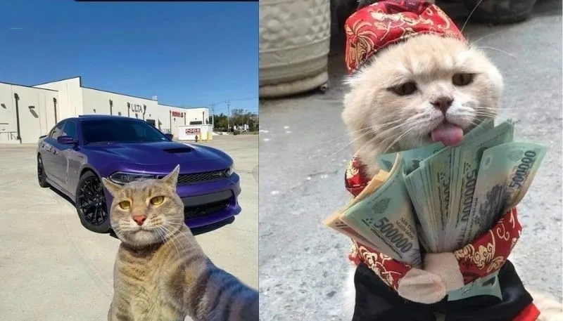 Khám phá sự khác biệt thú vị trong meme flexing hài hước