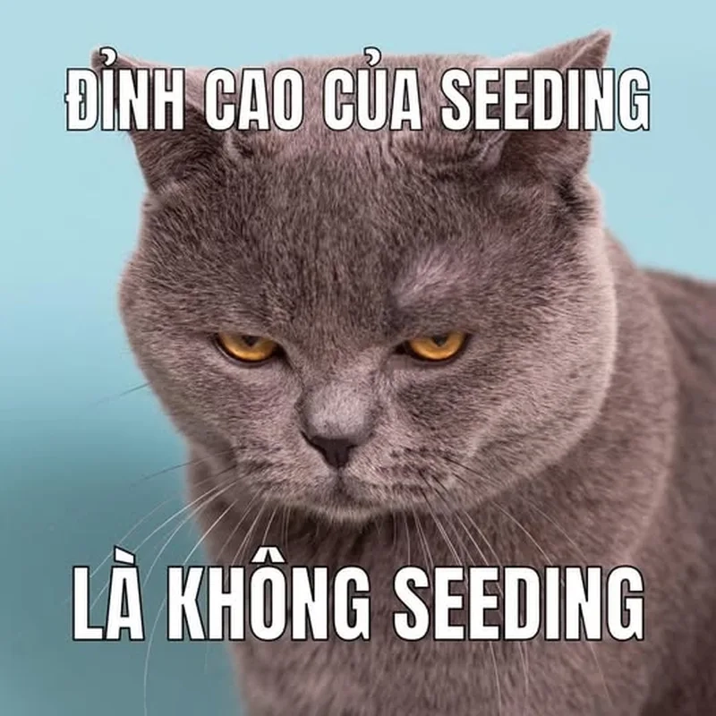 Bật cười với những pha meme seeding đỉnh cao