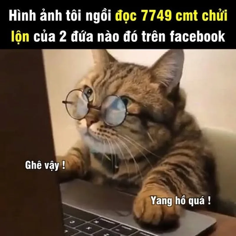 Theo dõi kịch tính từ meme drama trên mạng mới nhất