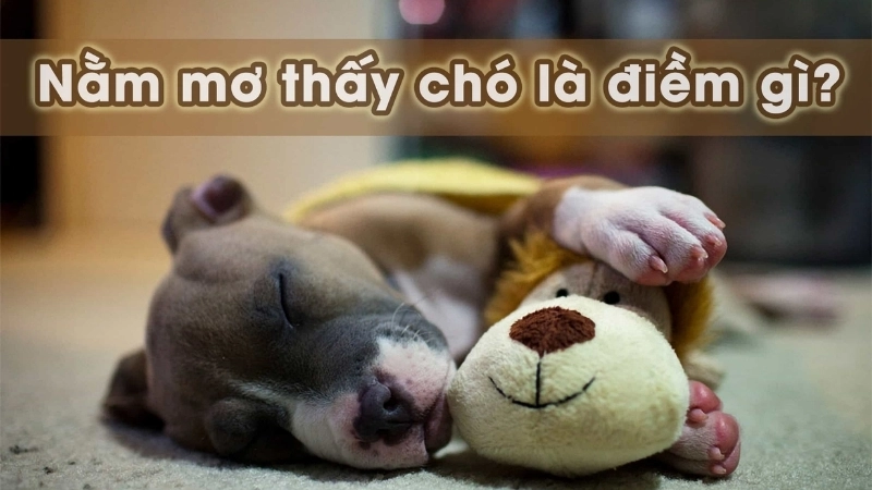 Nằm mơ thấy chó là điềm gì?