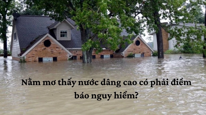 Nằm mơ thấy nước dâng cao có phải điềm báo nguy hiểm?