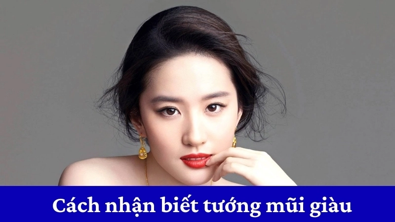 Cách nhận biết tướng mũi giàu giúp dự đoán tài vận 