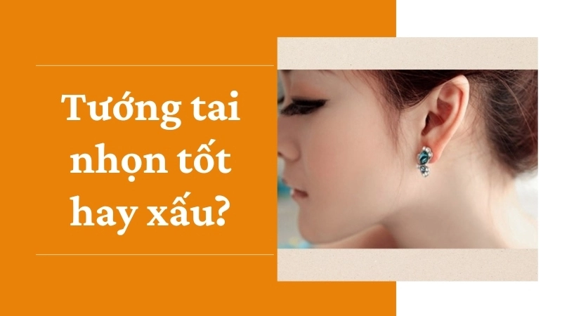 Tướng tai nhọn tốt hay xấu?