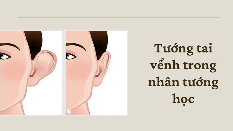 Tướng tai vểnh trong nhân tướng học