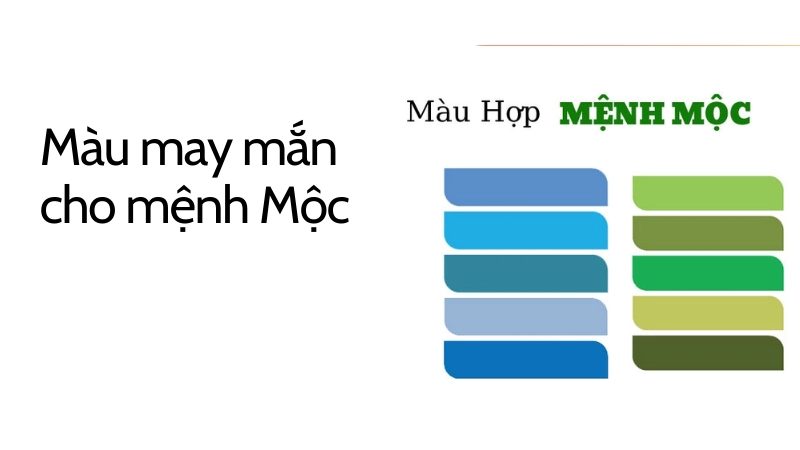 Màu sắc phong thủy giúp mệnh Mộc gặp may