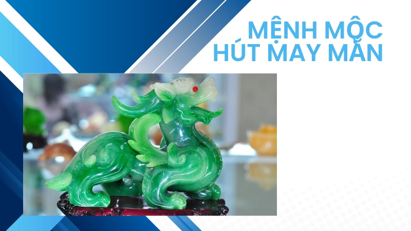 Phong thủy cho người mệnh Mộc hút may mắn 