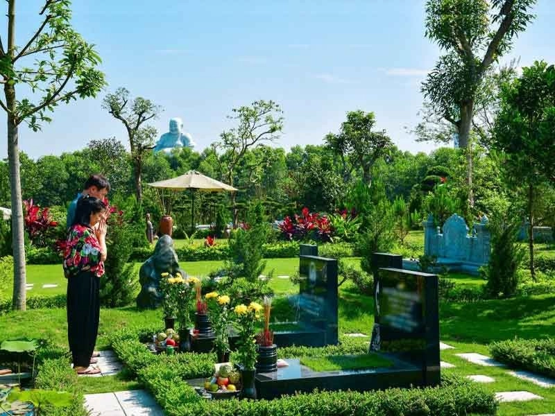 Cây xanh bao quanh mộ, giữ trọn sự bình yên.