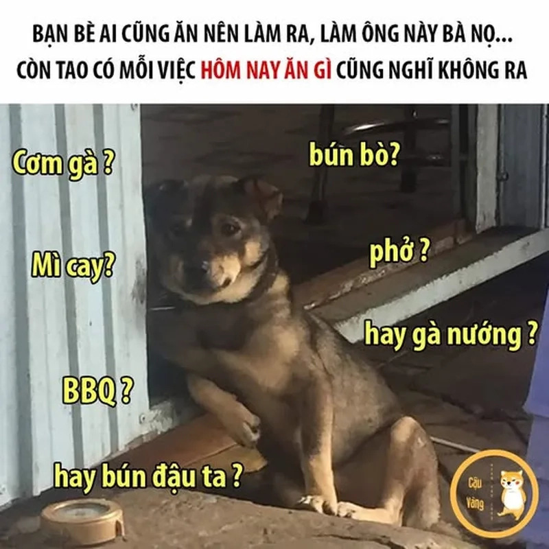 Đang suy nghĩ xem hôm nay với meme hôm nay ăn gì cực hài