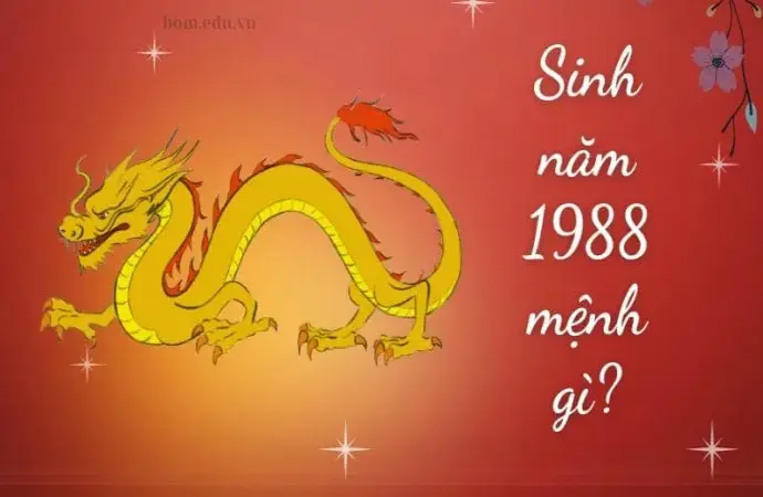 Sinh năm 1988 mệnh gì? khám phá tử vi Mậu Thìn