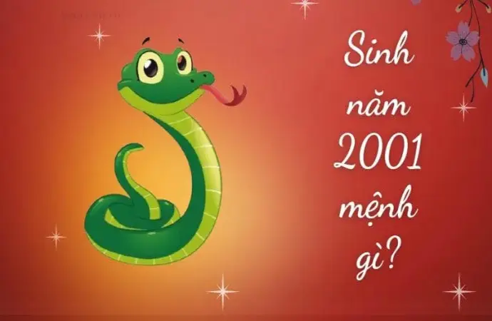 Sinh năm 2001 mệnh gì - khám phá tử vi tân tỵ